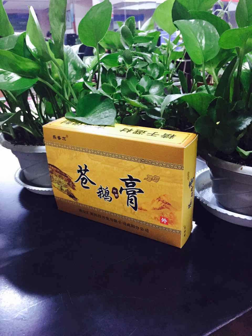 远古山苍鹅鼻炎膏